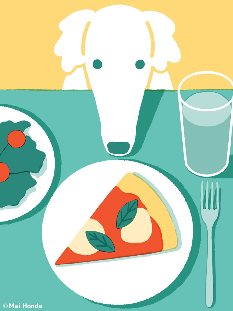 Borzoi e Margherita – Postando uma imagem…